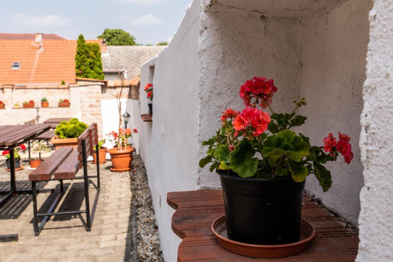 Fenyes Vinorium Bed & Breakfast Sopron Luaran gambar