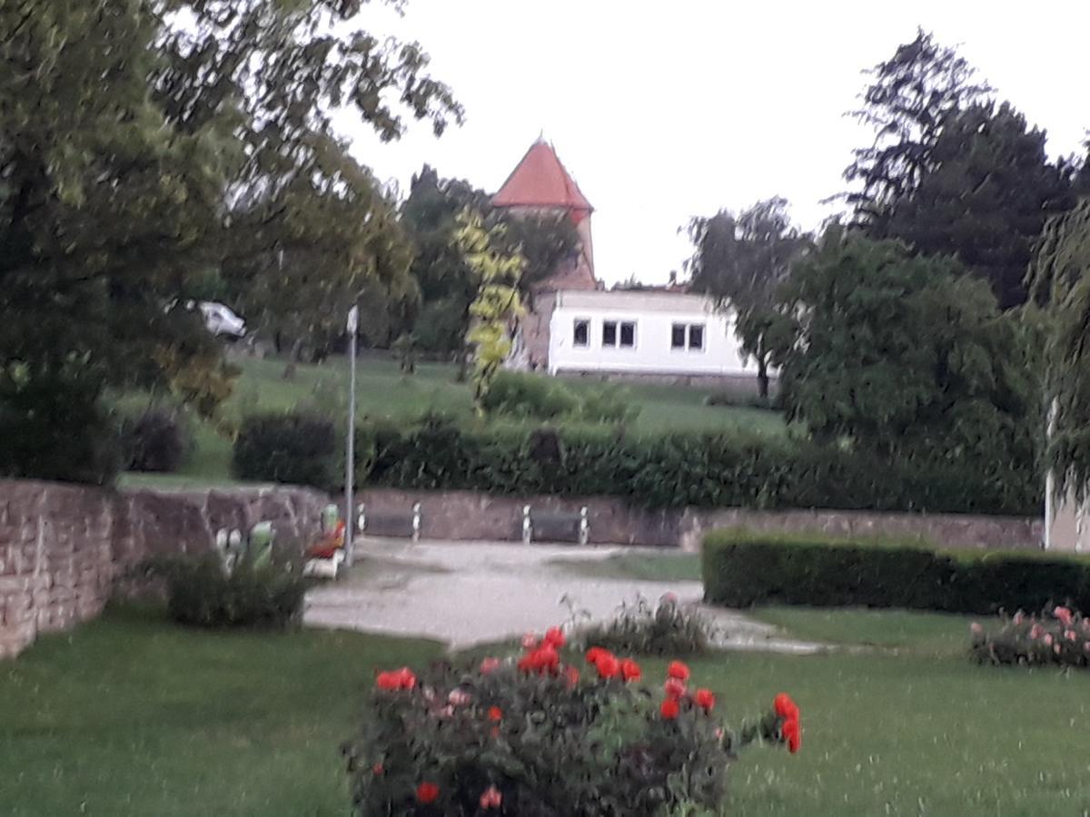 Fenyes Vinorium Bed & Breakfast Sopron Luaran gambar